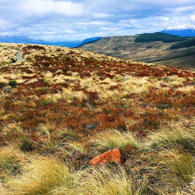 Processed with VSCO with c1 preset